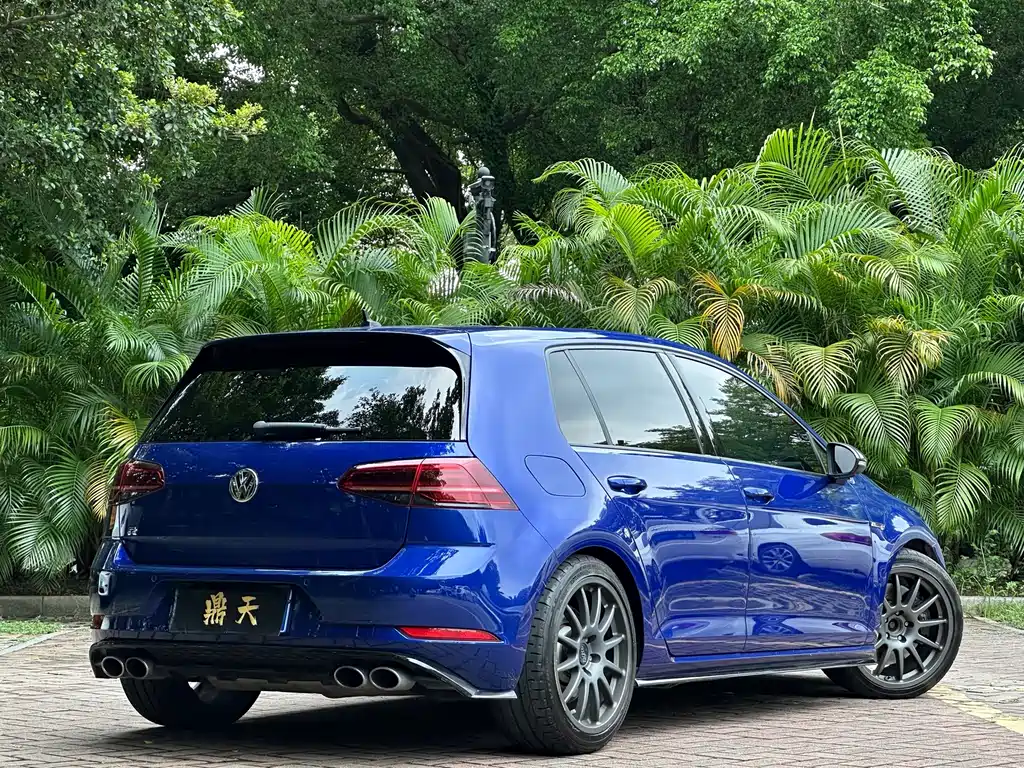Volkswagen Golf (Import) — миниатюра 32