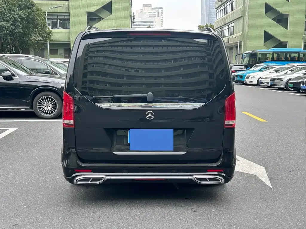 Mercedes-Benz V-Class V 2018 V 260 Luxury VI