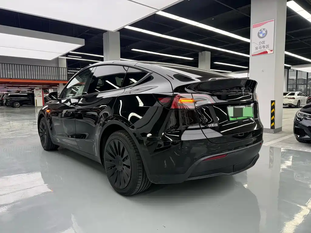 Tesla Model Y — миниатюра 26