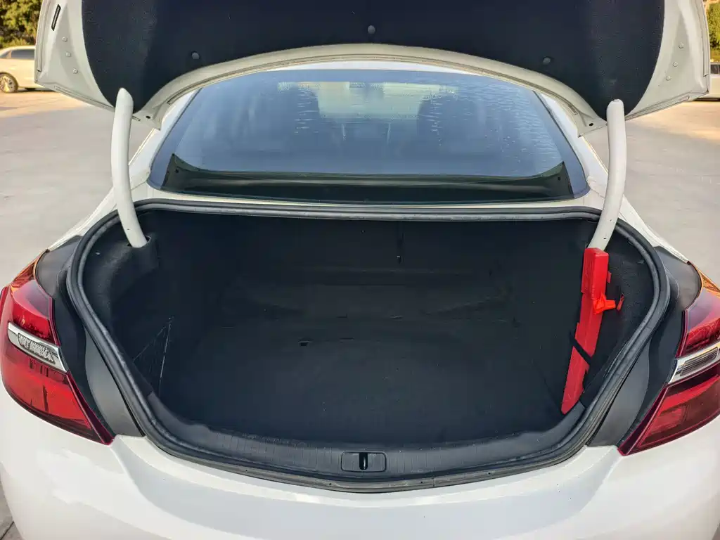 Buick Regal — миниатюра 10