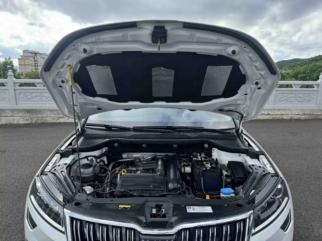 Skoda Karoq — миниатюра 19