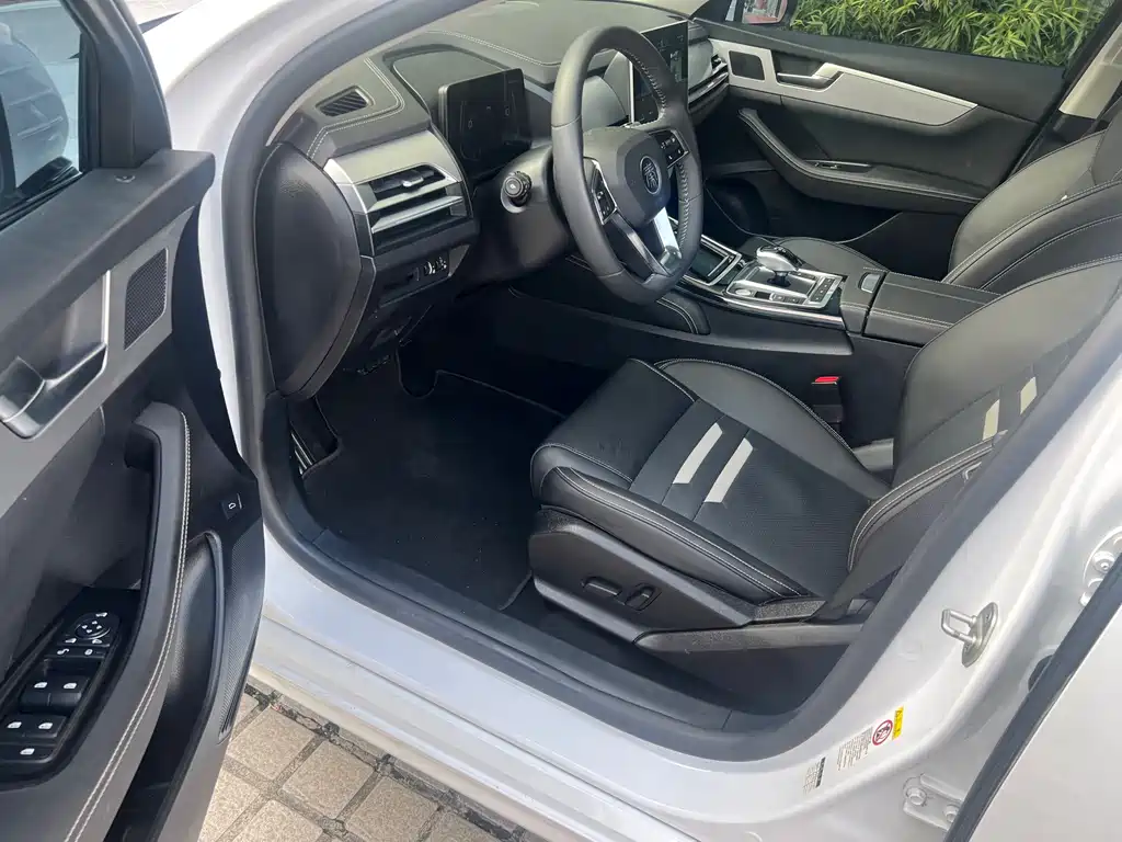 BYD Qin Pro NEV — миниатюра 7