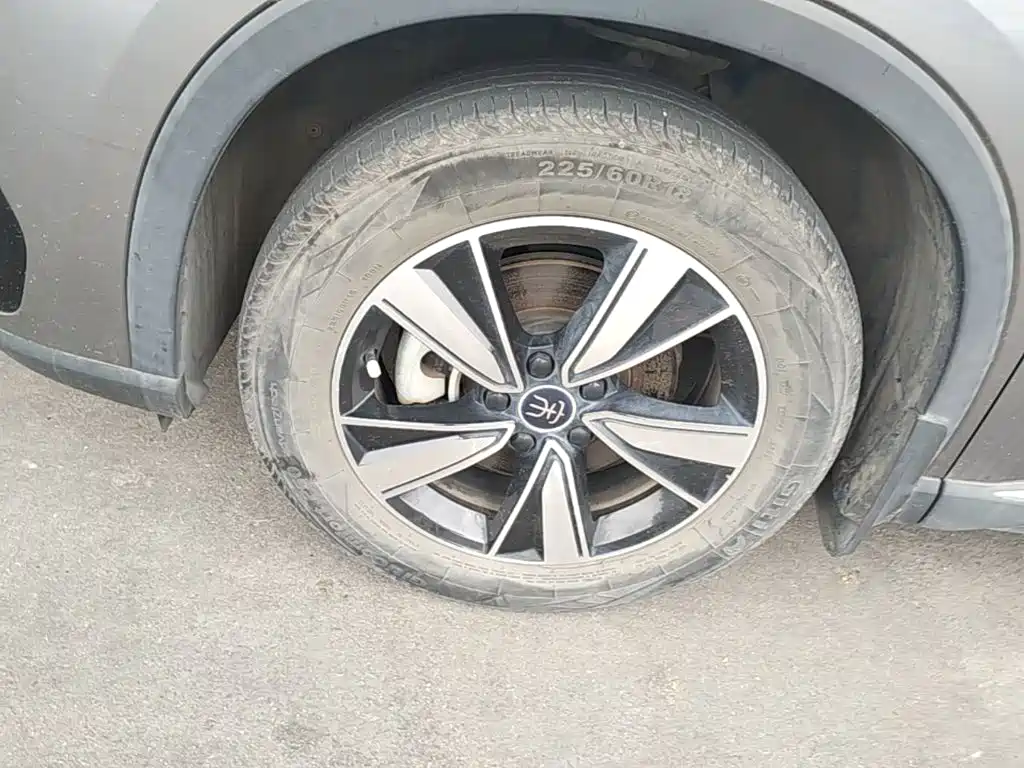 BYD Pro New Energy — миниатюра 23