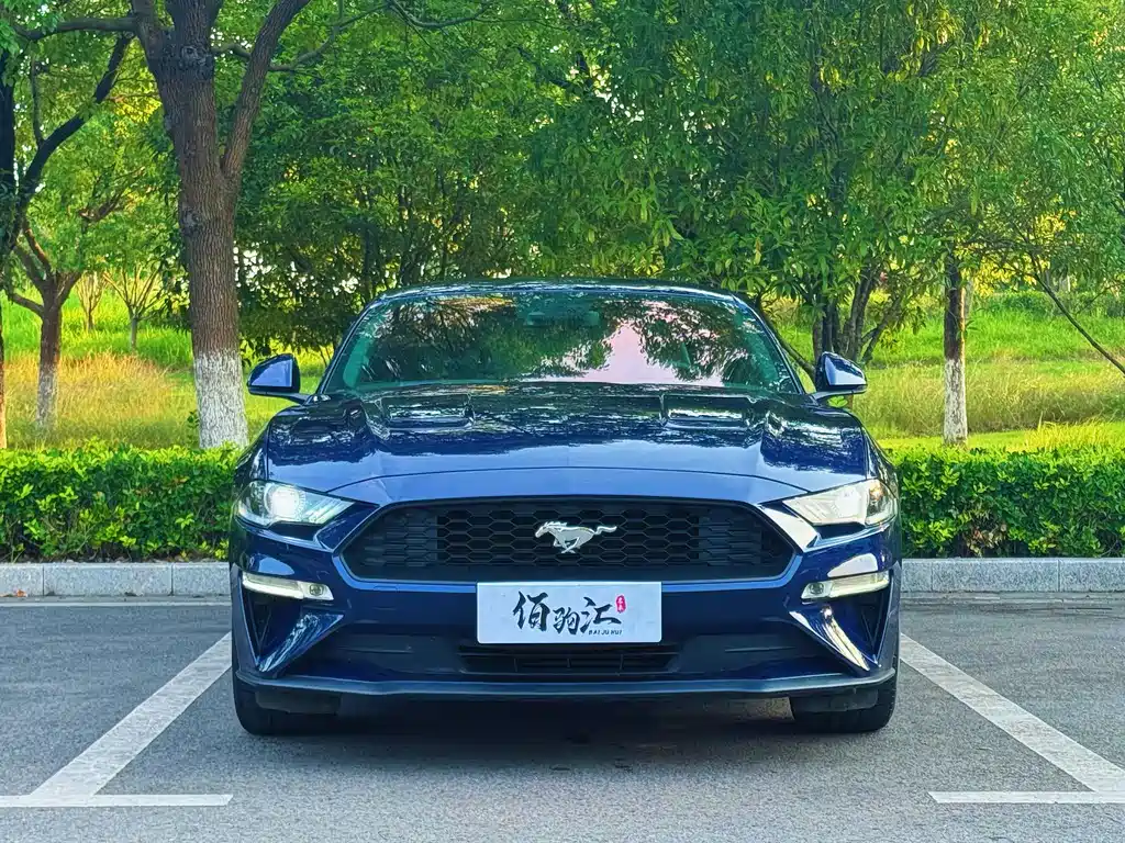 FORD MUSTANG