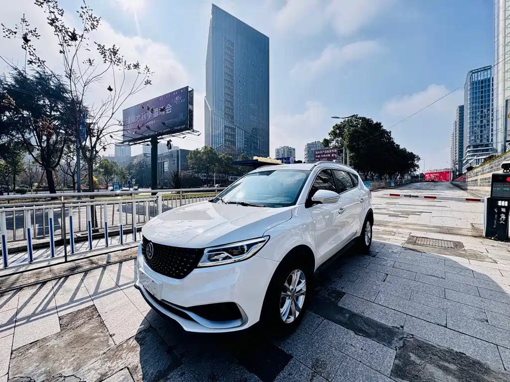 Fengguang Fengguang 580Pro 2019