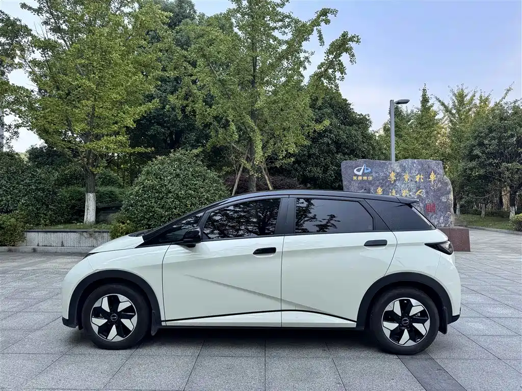 BYD Dolphin — миниатюра 10