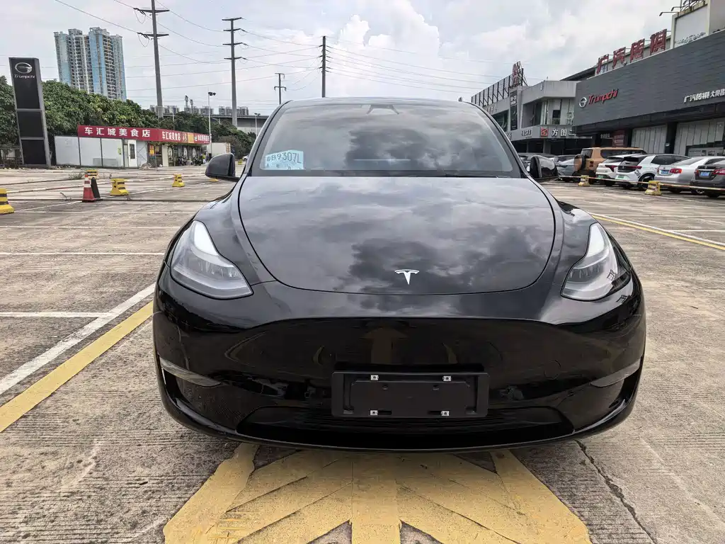 Tesla Model Y — миниатюра 2
