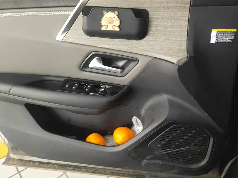 CITROEN VERSAILLES C5 X