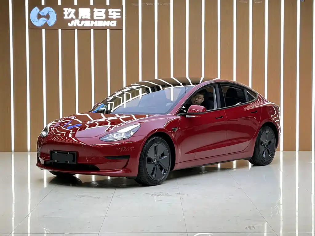Tesla Model 3 2021