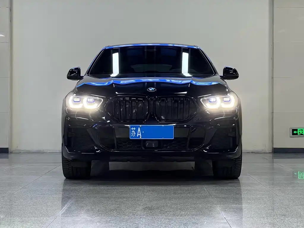 BMW X6 — миниатюра 2