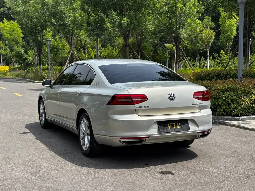 Volkswagen Magotan 2018 330TSI DSG Luxury