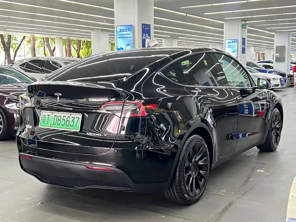 Tesla Model Y — миниатюра 10