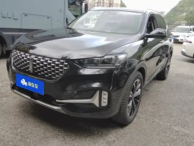 2020 Wey VV6