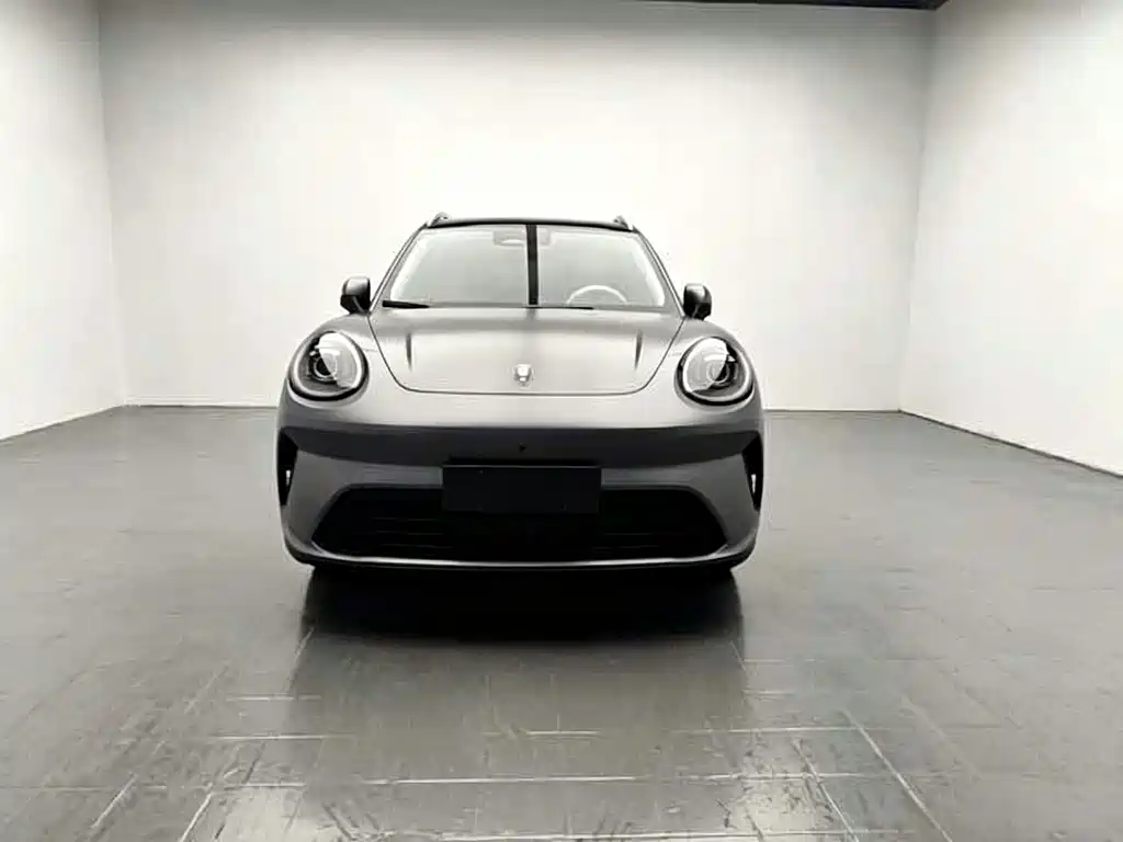Ora Ora 5 EV — миниатюра 2
