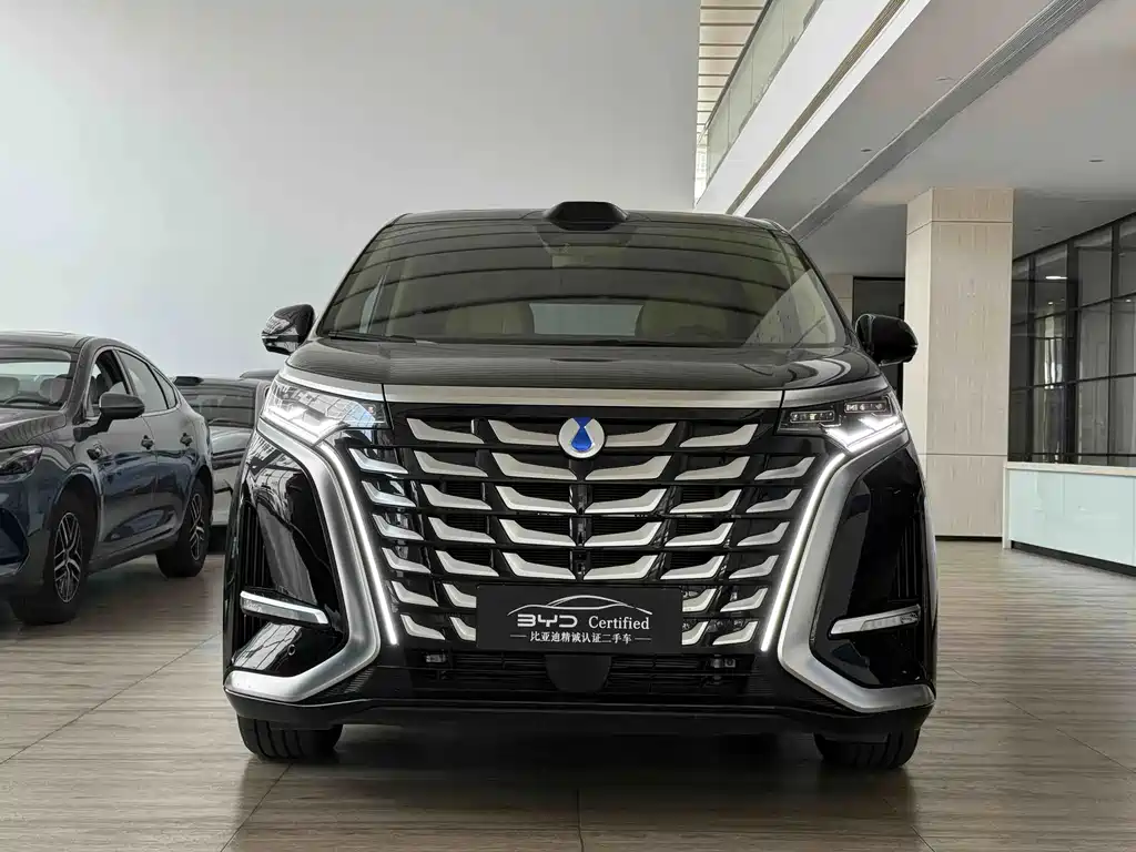 Denza Denza D9 — миниатюра 2