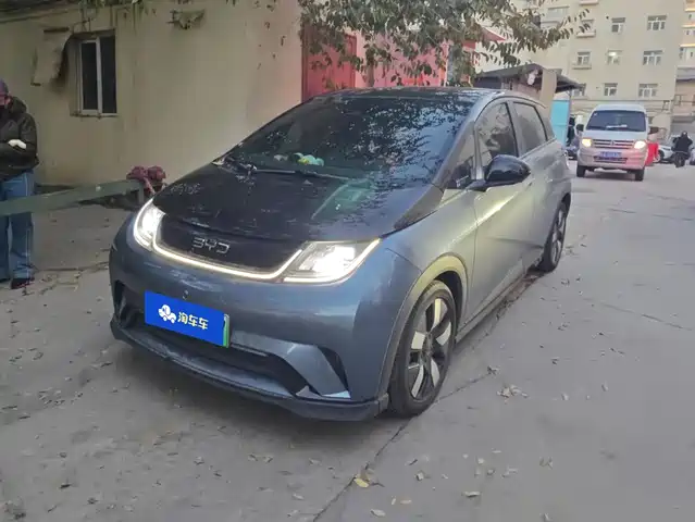 BYD Dolphin