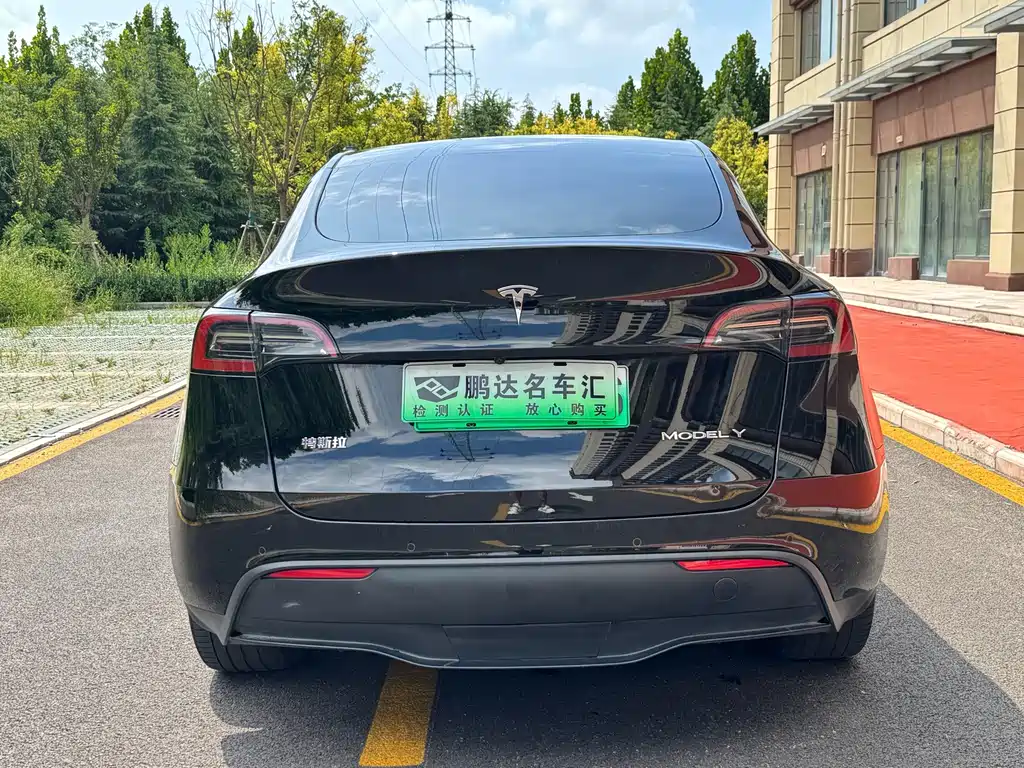 Tesla Model Y — миниатюра 8