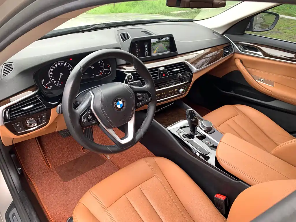BMW 5 Series 5 2018 528Li