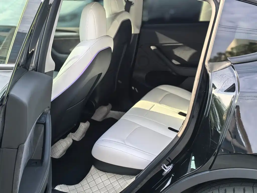 Tesla Model Y — миниатюра 6