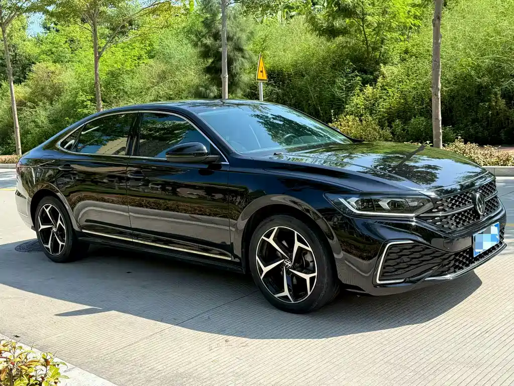 Volkswagen Passat — миниатюра 3