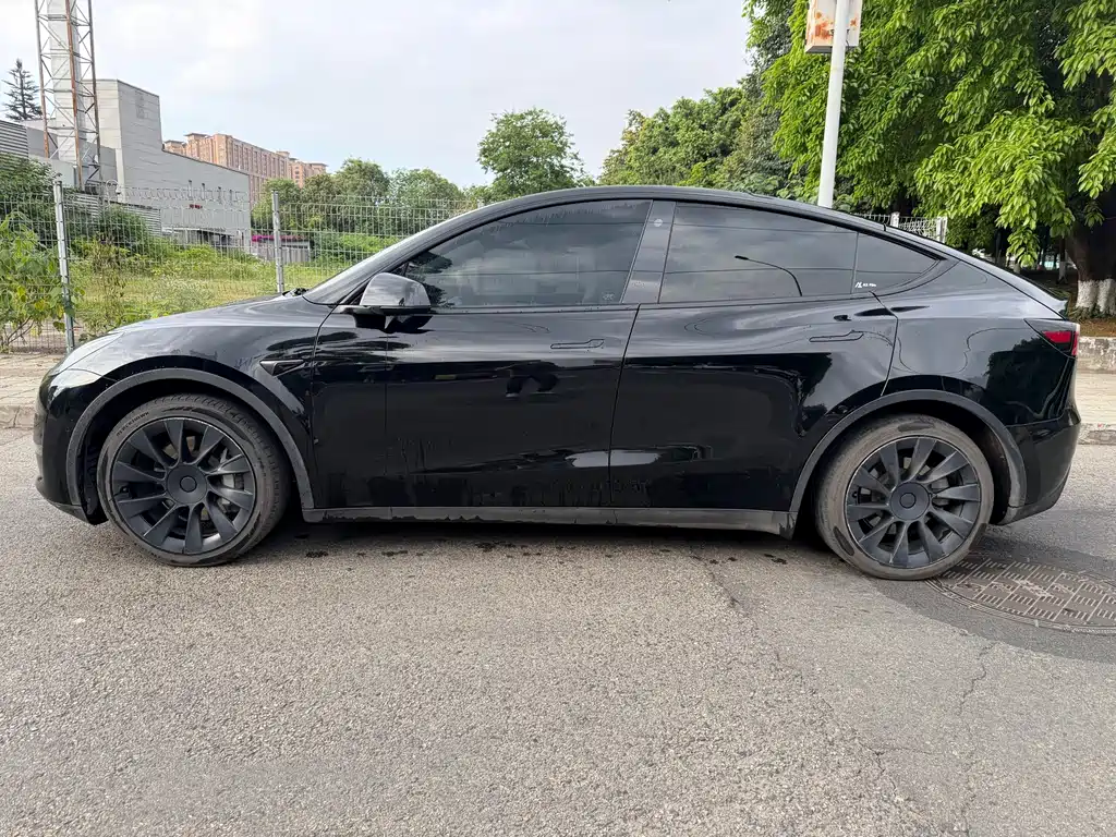 Tesla Model Y — миниатюра 4