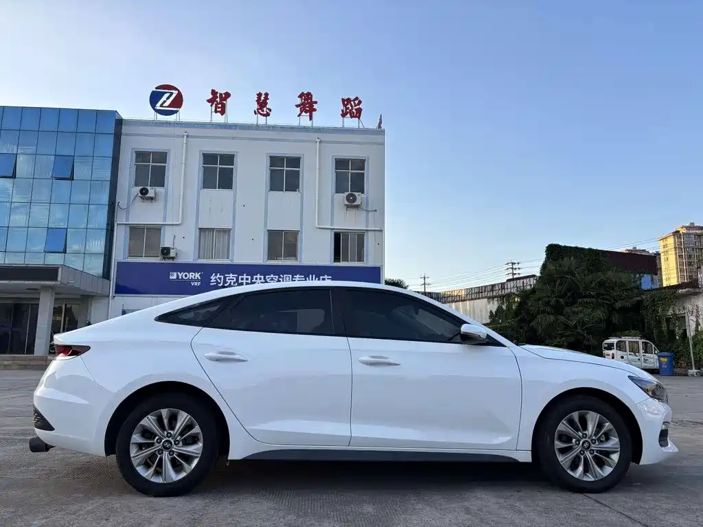 Hyundai Fista — миниатюра 5