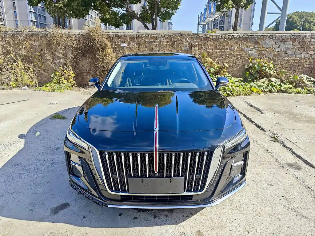 Hongqi Hongqi H5 2023