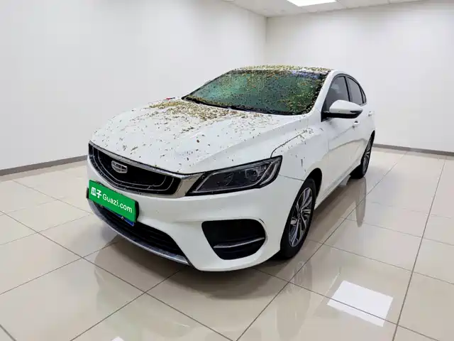 2020 Geely Binrui