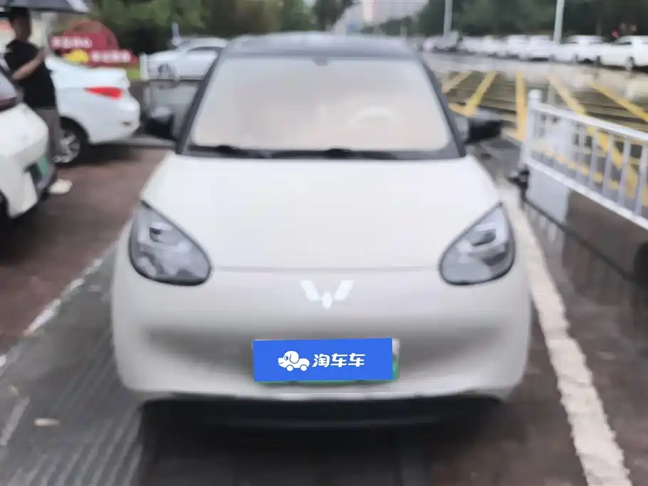 Wuling Binguo 2024 333km Enjoy