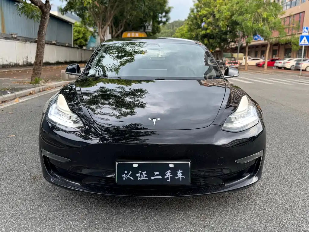 Tesla Model 3 — миниатюра 2