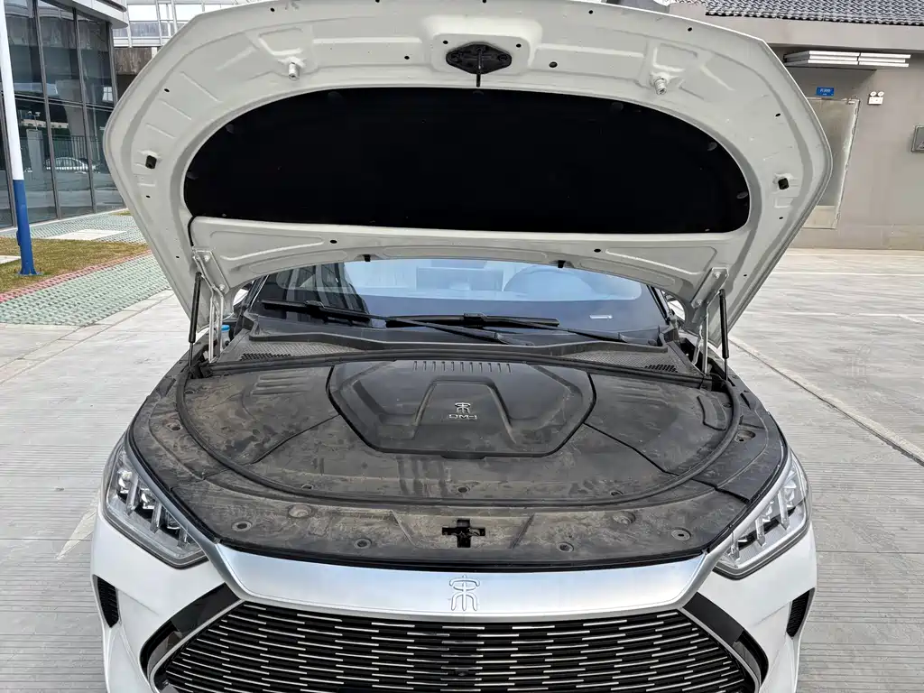 BYD SONGJIANG NEW ENERGY