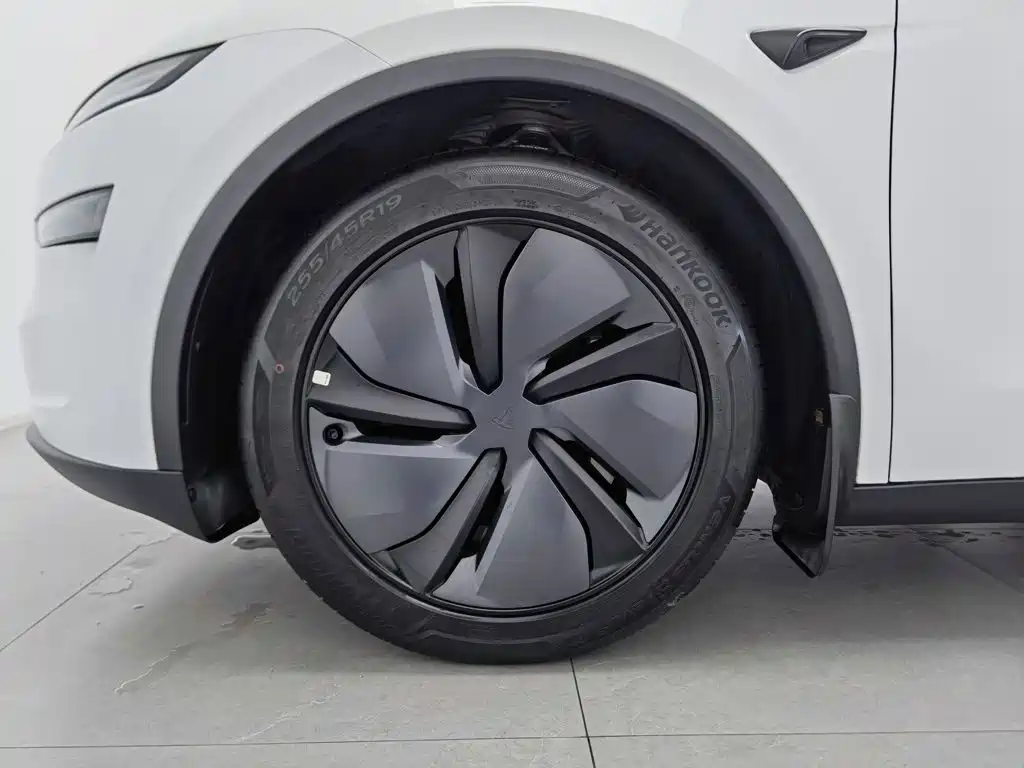 Tesla Model Y — миниатюра 17