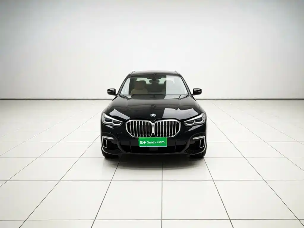 BMW X5 — миниатюра 2