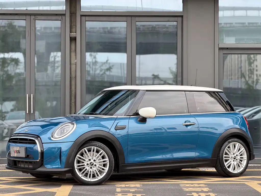 Mini Mini 2021