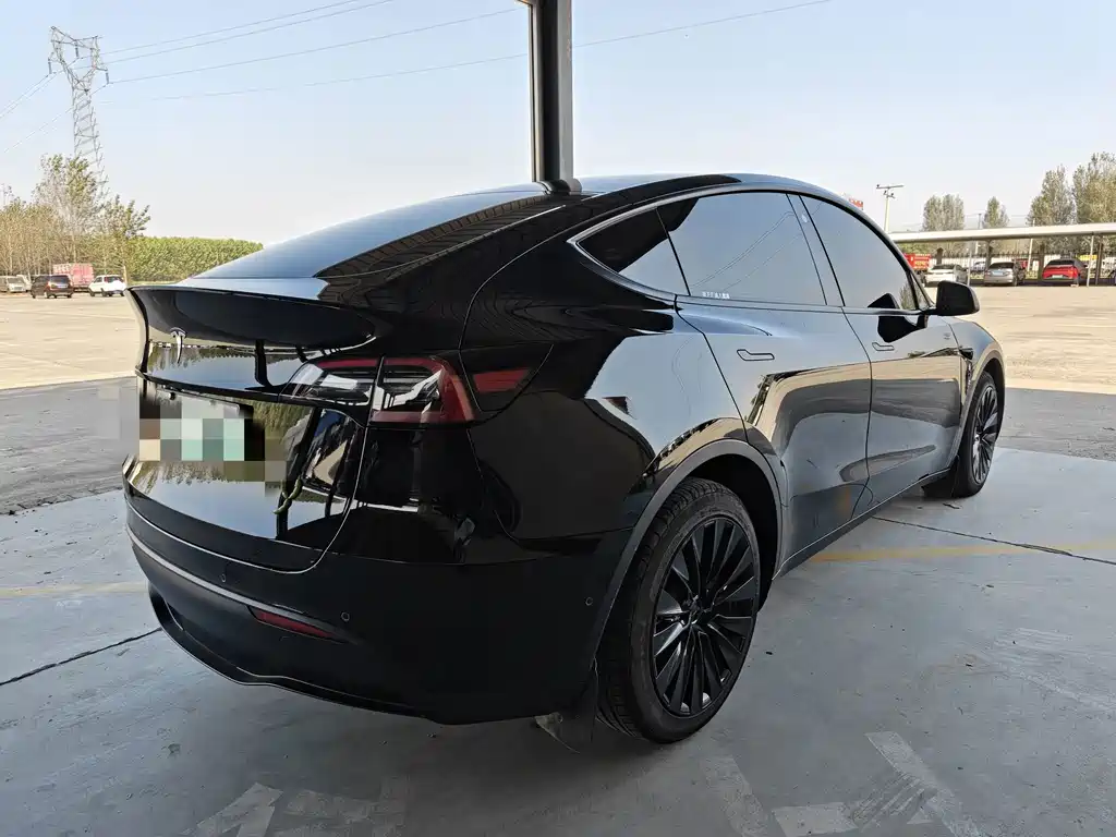 Tesla Model Y — миниатюра 6