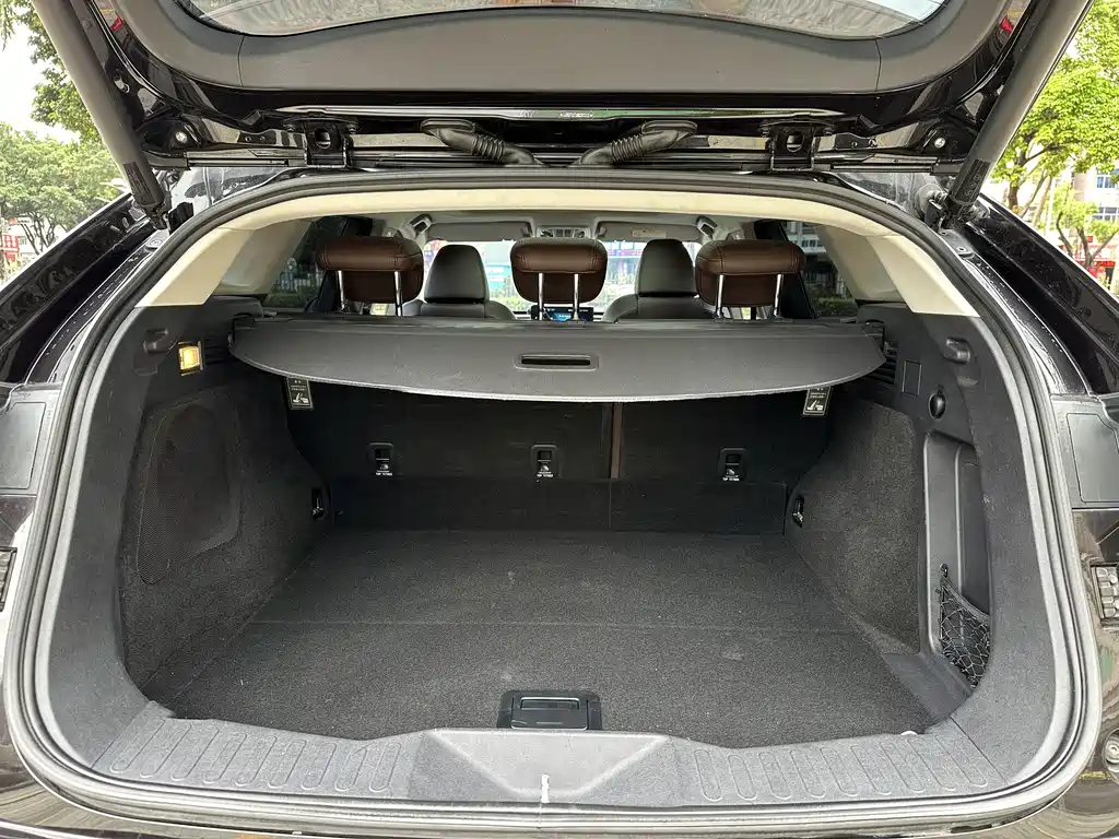 WEI PAI WEI BRAND VV7