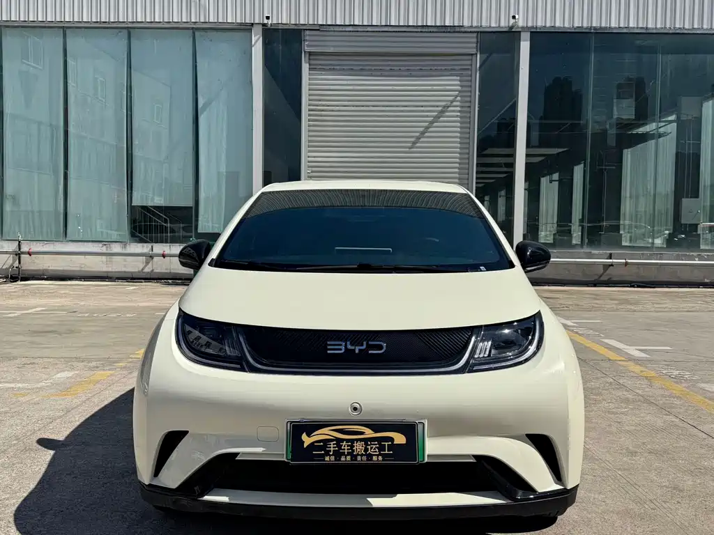 BYD Dolphin — миниатюра 2