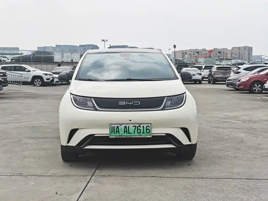 BYD Dolphin — миниатюра 2