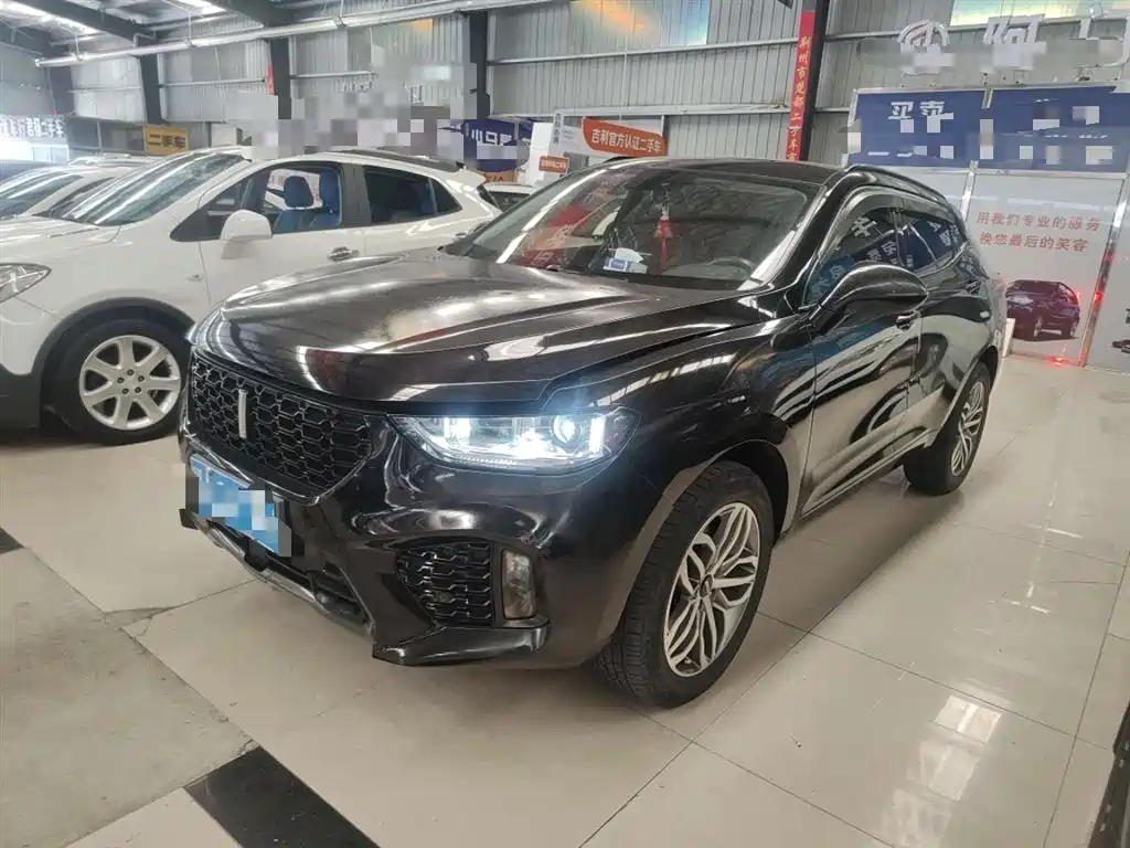 WEI PAI WEI BRAND VV5