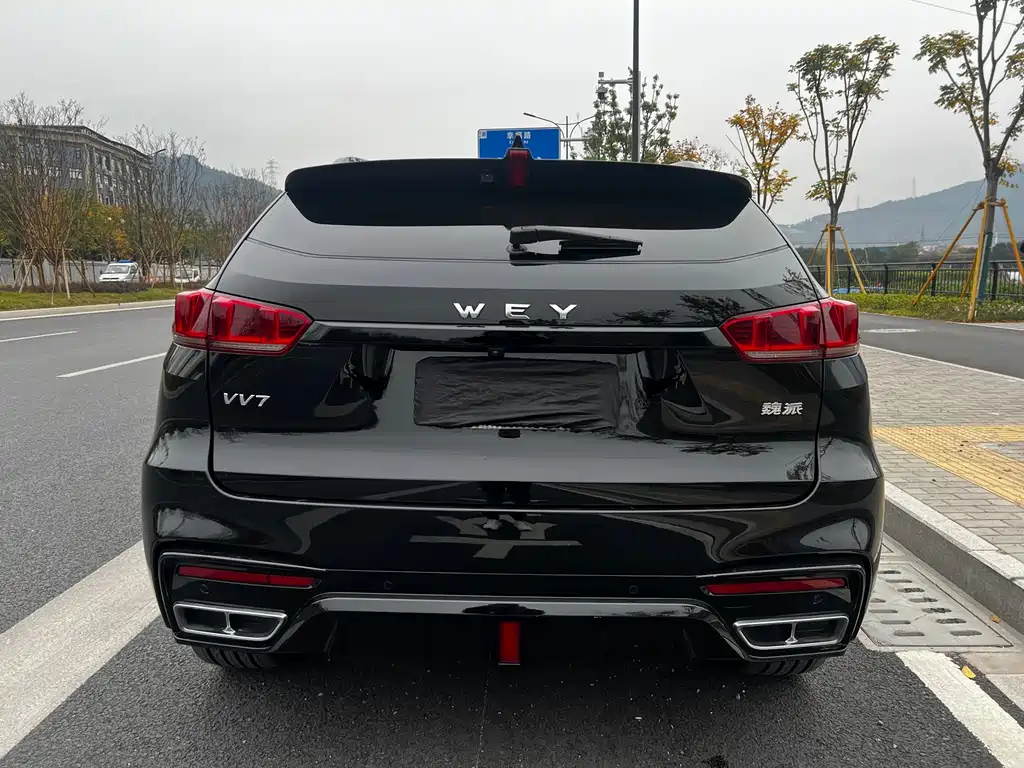 WEI PAI WEI BRAND VV7