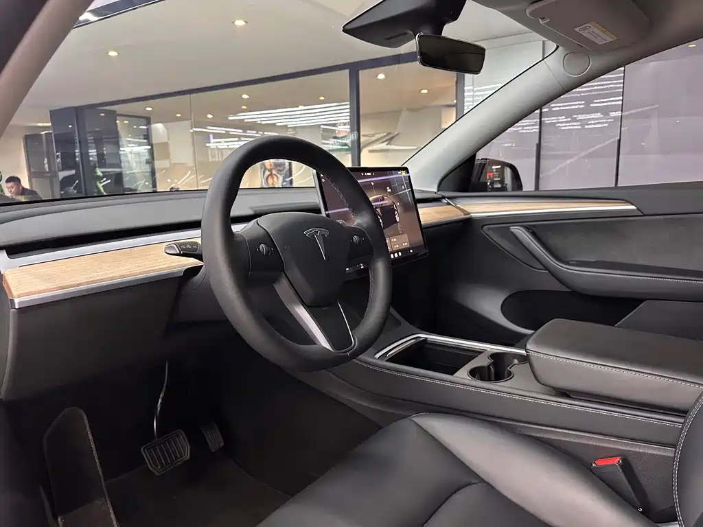 Tesla Model Y — миниатюра 5
