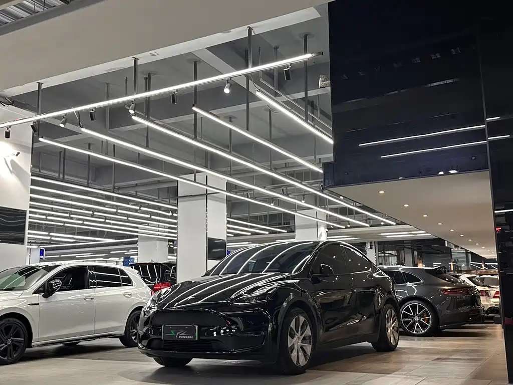 Tesla Model Y — миниатюра 3