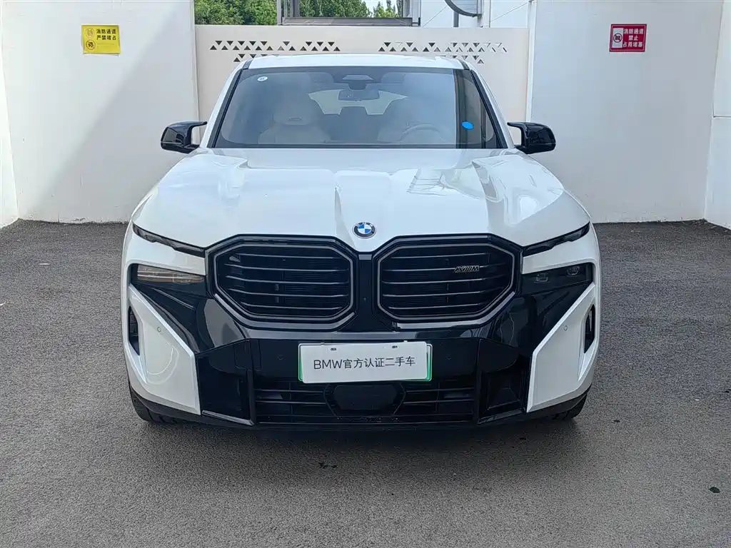 BMW XM Basic Type, фото 2