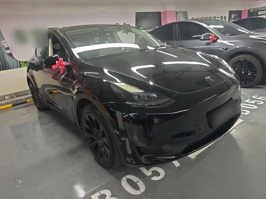 Tesla Model Y — миниатюра 4