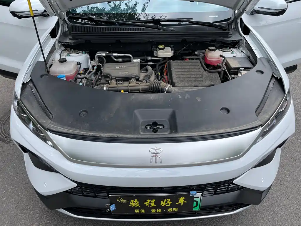 BYD Pro New Energy — миниатюра 10