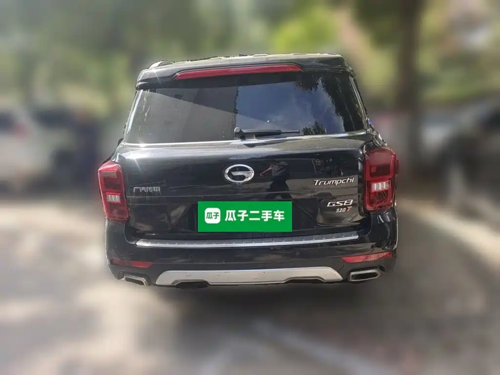 GAC Motor Trumpchi GS8 — миниатюра 3