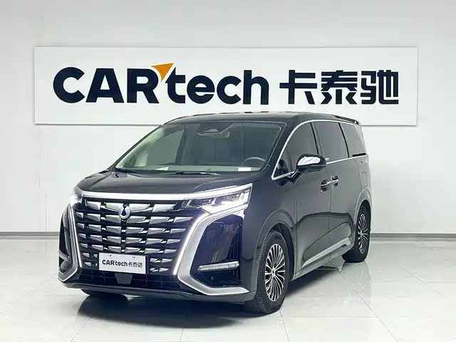2024 Denza D9