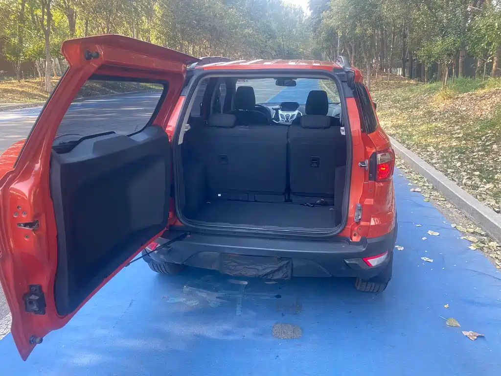 Ford Ecosport — миниатюра 9