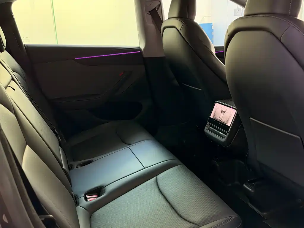 Tesla Model Y — миниатюра 6