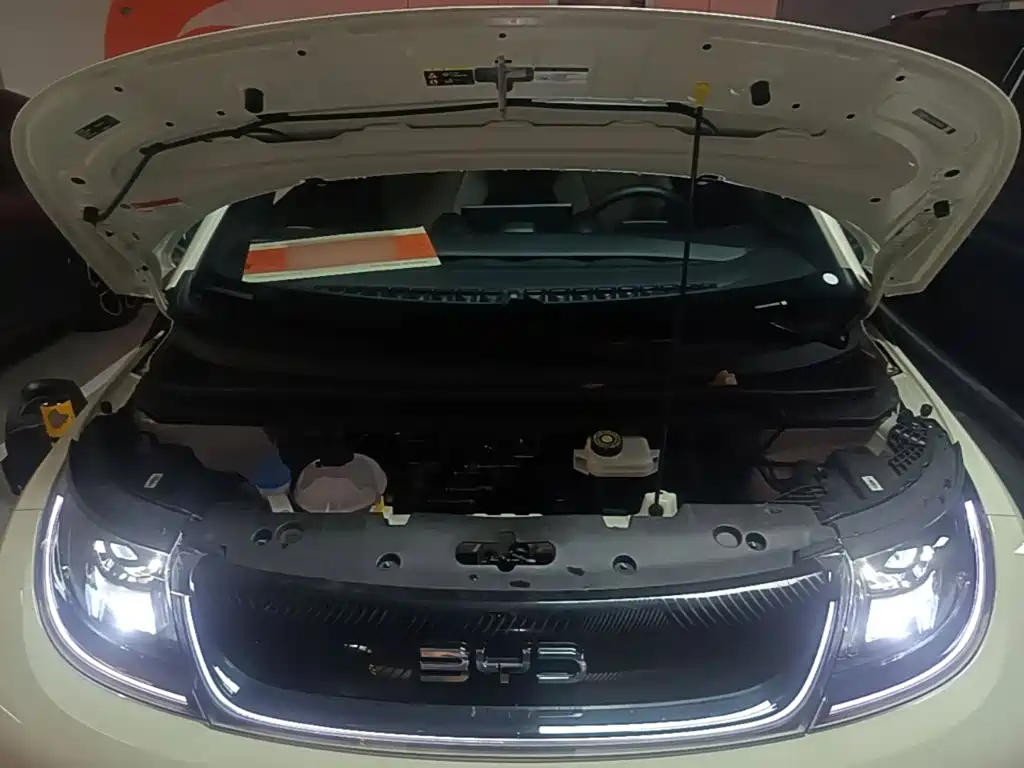 BYD Dolphin — миниатюра 20